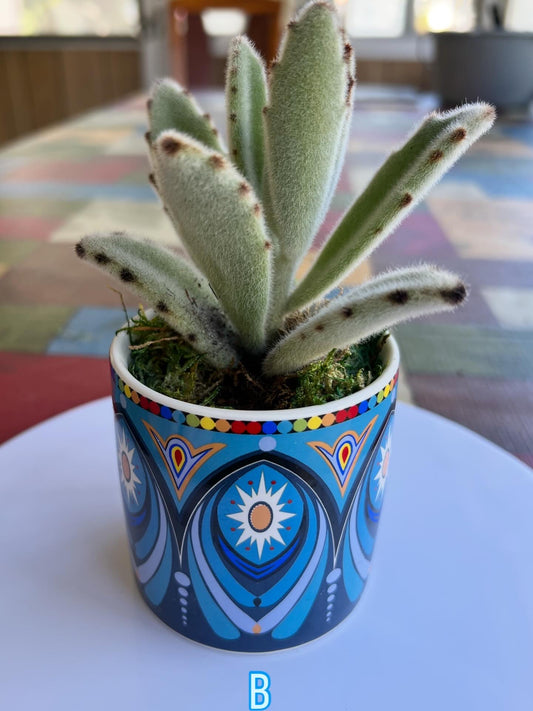 Boho Blue Dream