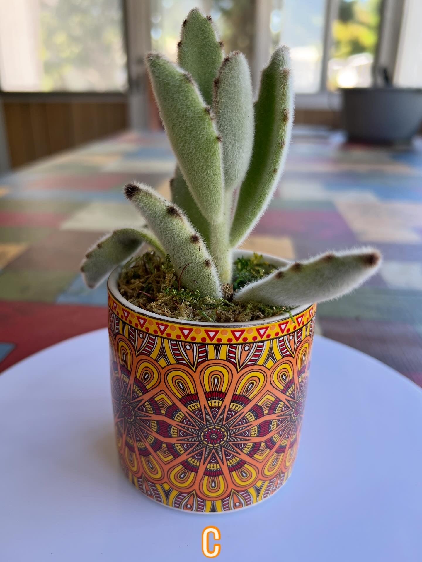 Boho Kaleidoscope