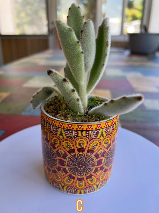 Boho Kaleidoscope