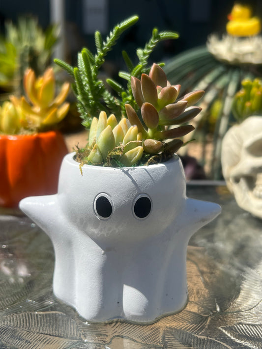 Ghosts