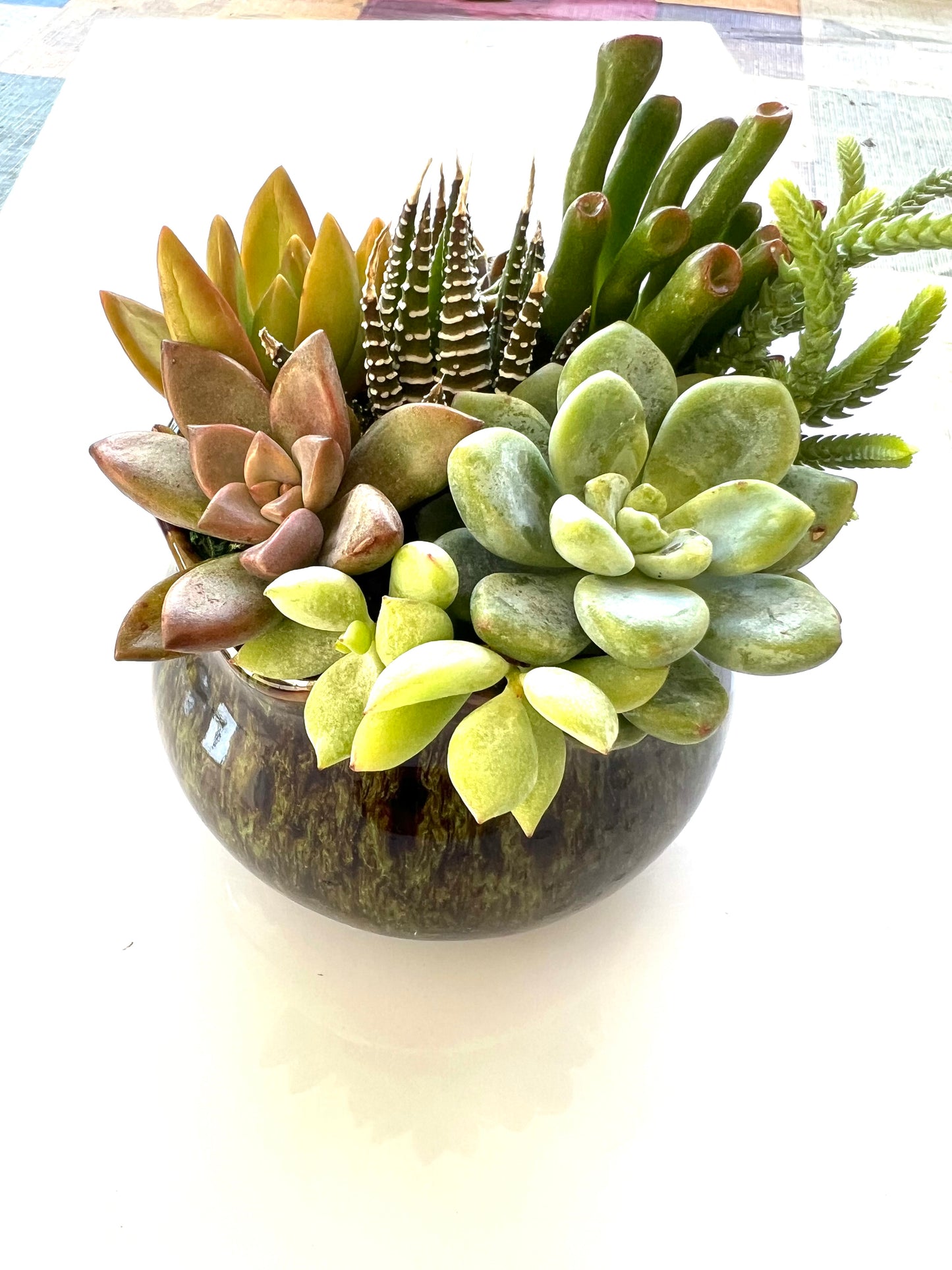 Girl on Fire - Green