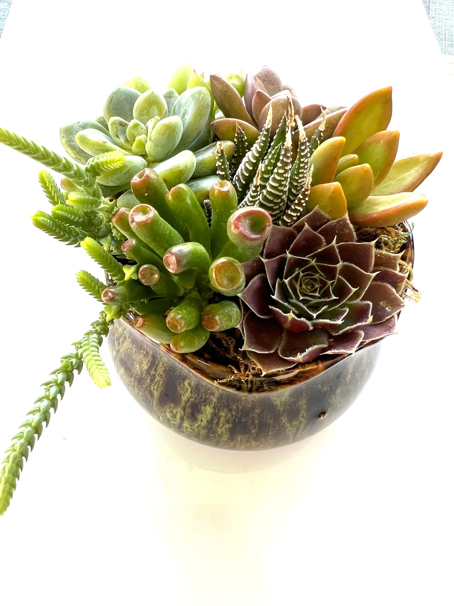 Girl on Fire - Green