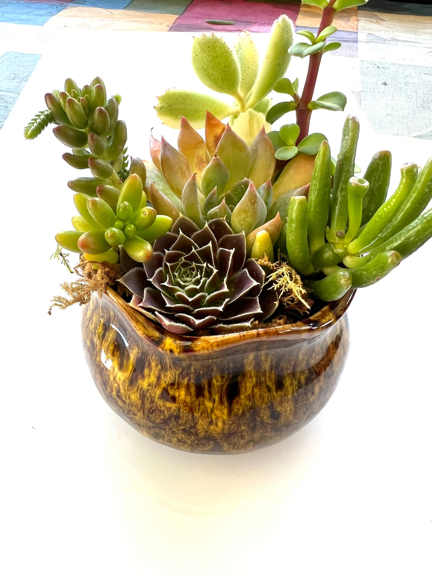 Girl on Fire - Yellow