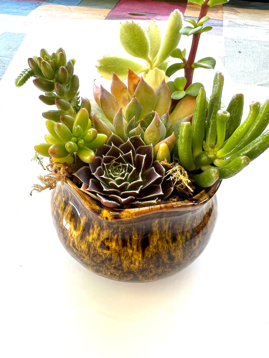 Girl on Fire - Yellow