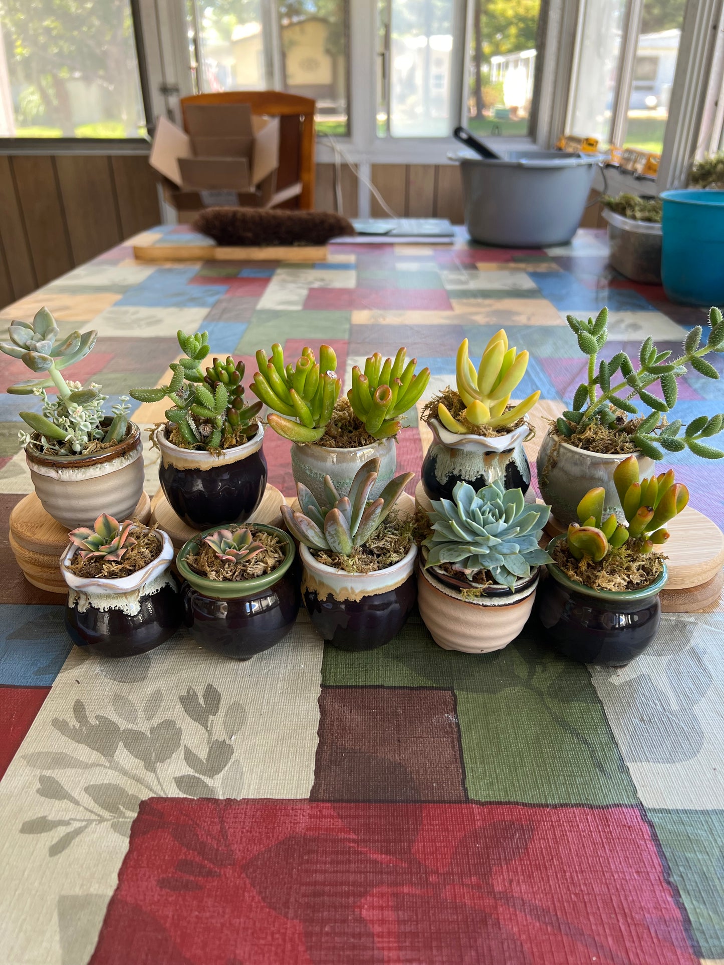Mystery Minis