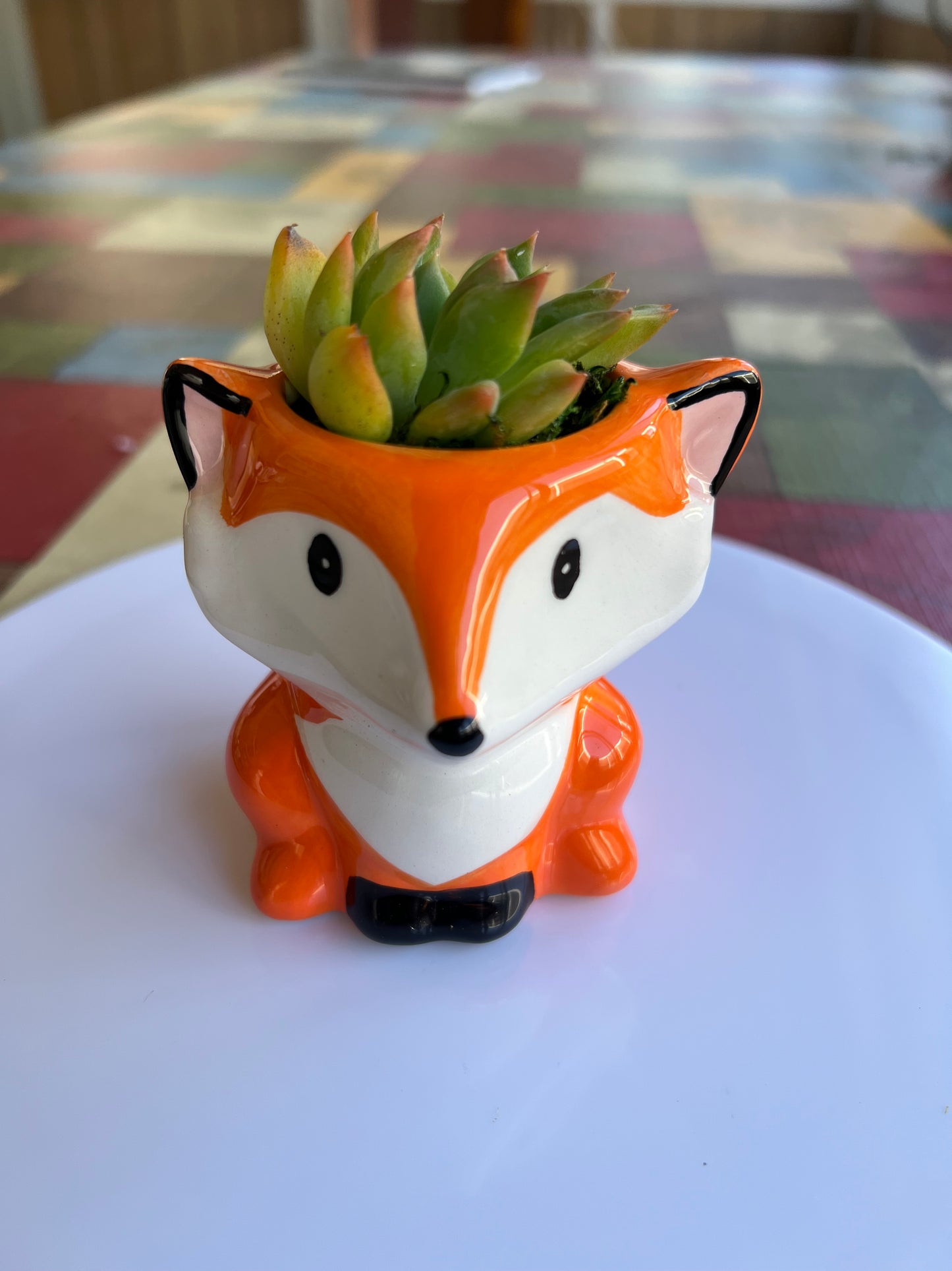 Sidekick Fox
