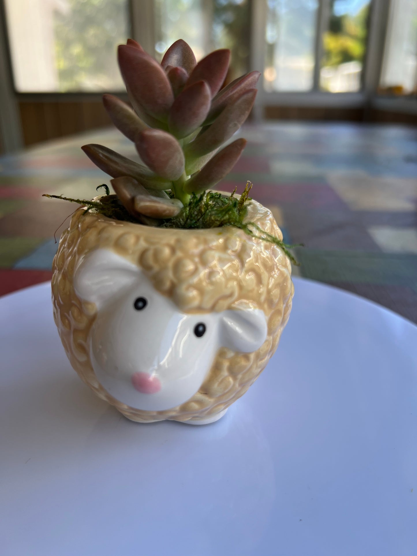Sidekick Sheep