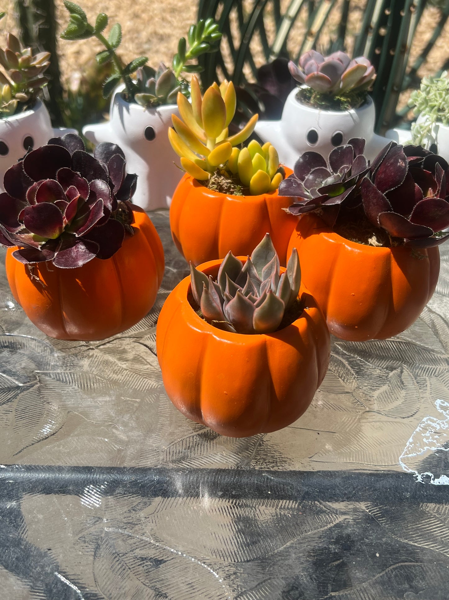 Pumpkin
