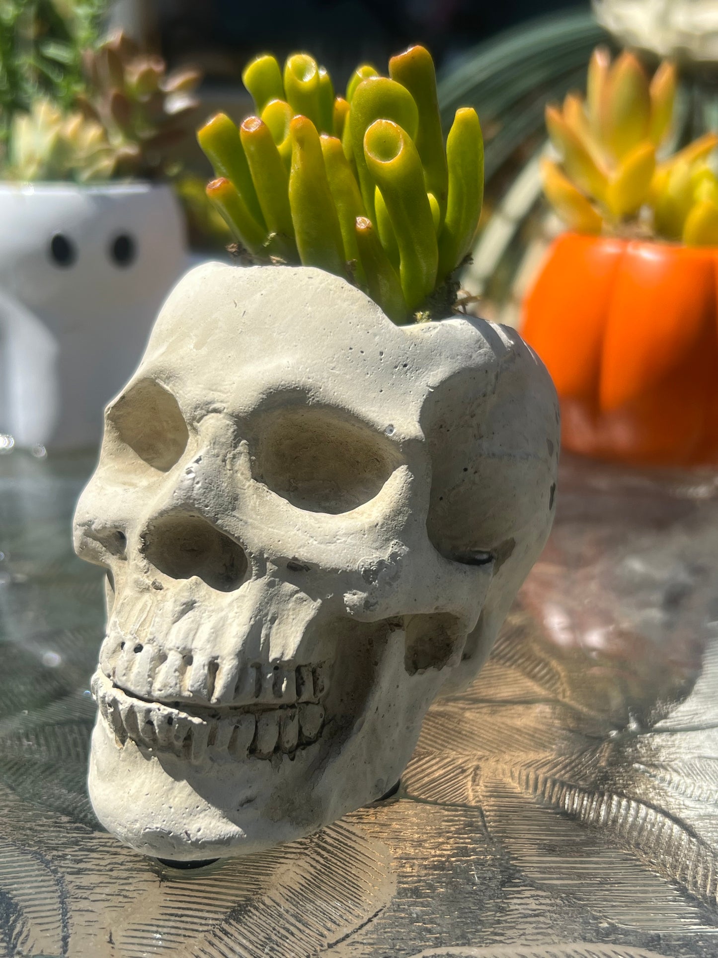 Skulls