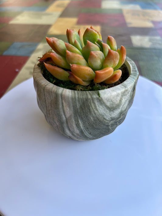 Stone Green