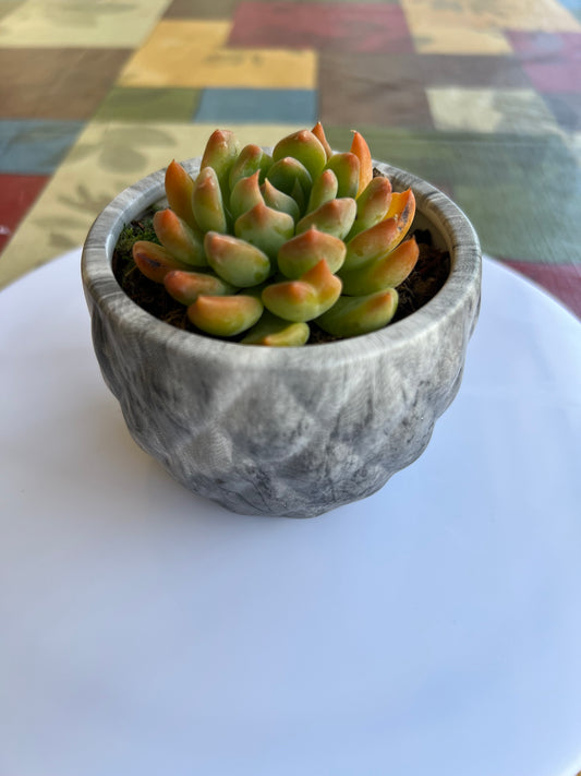 Stone Grey